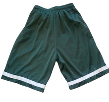 Denny’s big boys long mesh shorts in green L(14-16)