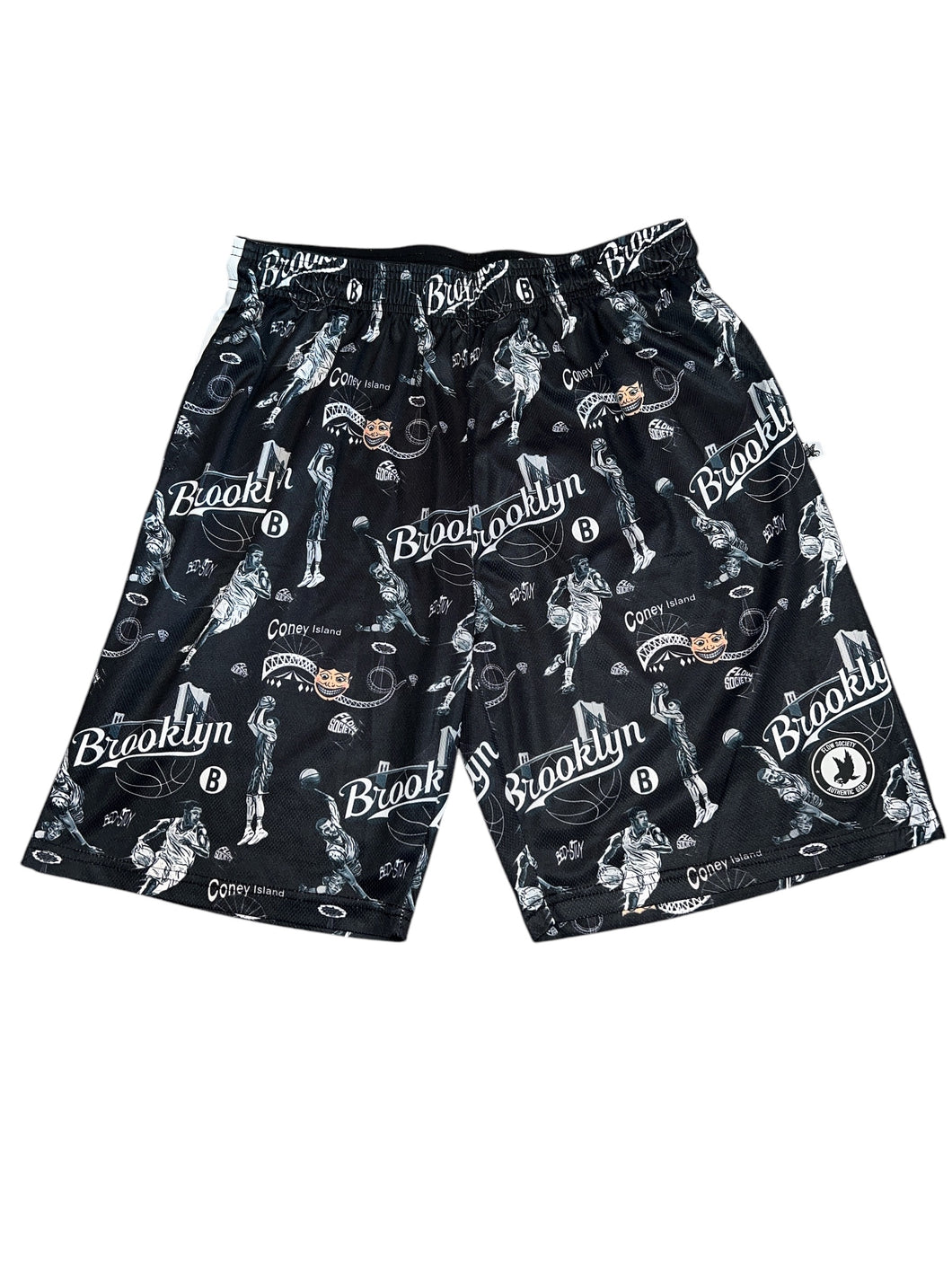 Flow Society youth Brooklyn Coney Island graphic shorts XL