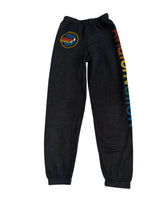 Aviator Nation kids Venice California logo sweatpants 12