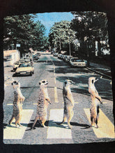 Kid Dangerous boys meerkats crossing graphic tee 7