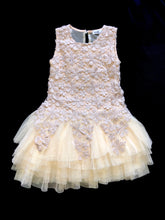 Aile Rabbit girls lace and tulle special occasion dress 5(120 cm)